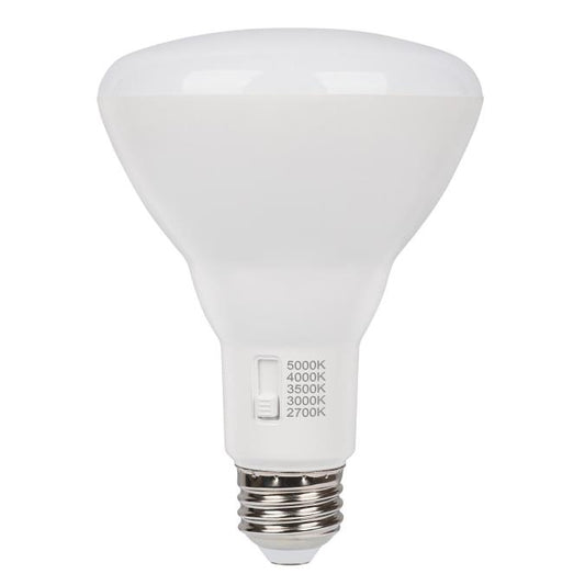 Westinghouse BR30 LED flood bulb