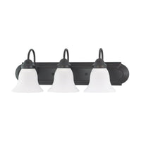 Nuvo 60-3162 Vanity Light