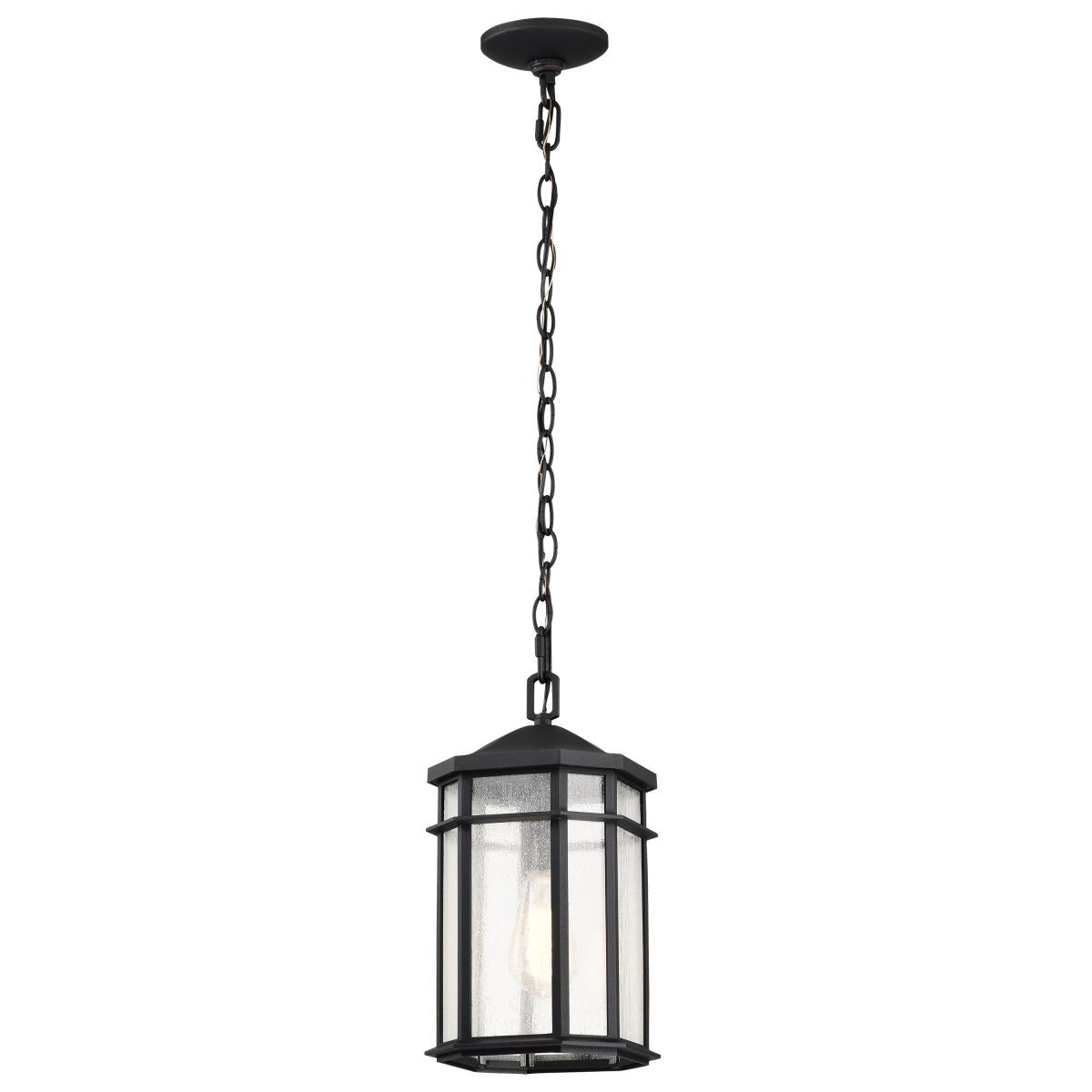 Nuvo 60-5759 Outdoor Hanging Light