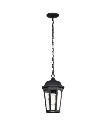 Nuvo 60-5944 Outdoor Hanging Light