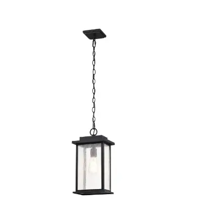 Nuvo 60-7377 Outdoor Hanging Light