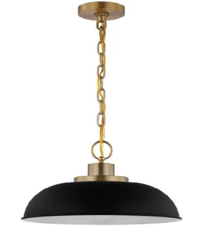 Nuvo 60-7481 Pendant Light