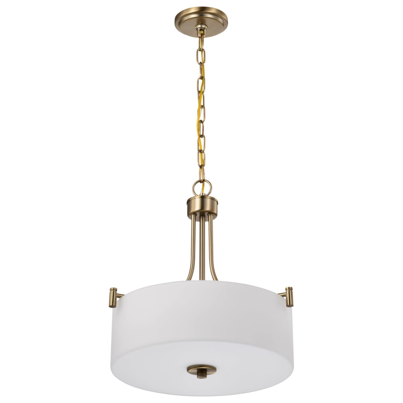 Nuvo 60-8204 Pendant Light