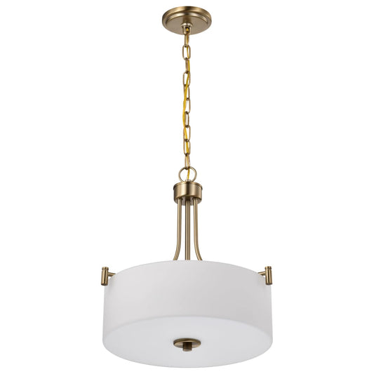 Nuvo 60-8204 Pendant Light