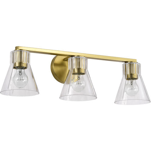 Nuvo 60-8343 Vanity Light