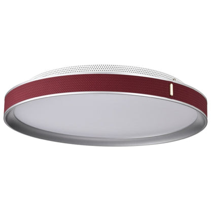 Nuvo 62-3012 Flush Mount