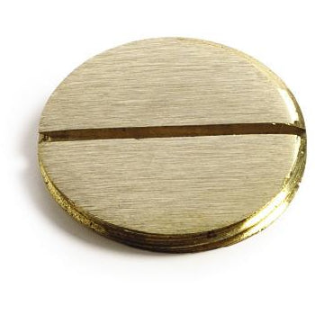 Lew Electric 6211 Brass plug