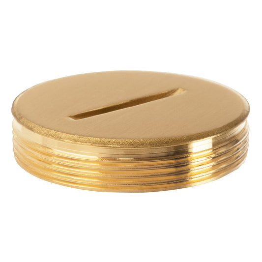 Lew Electric 6213-BP Brass plug