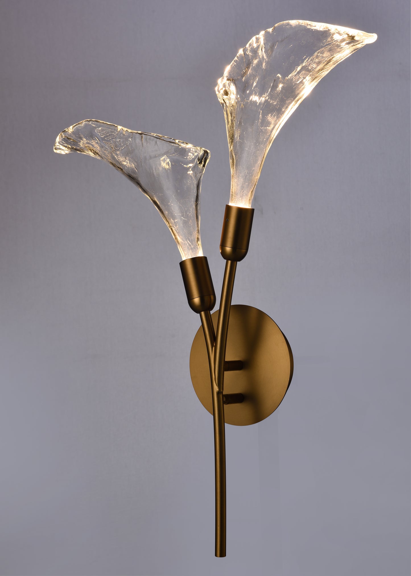 Arabela Calla satin brass wall sconce 85195-2 view 4