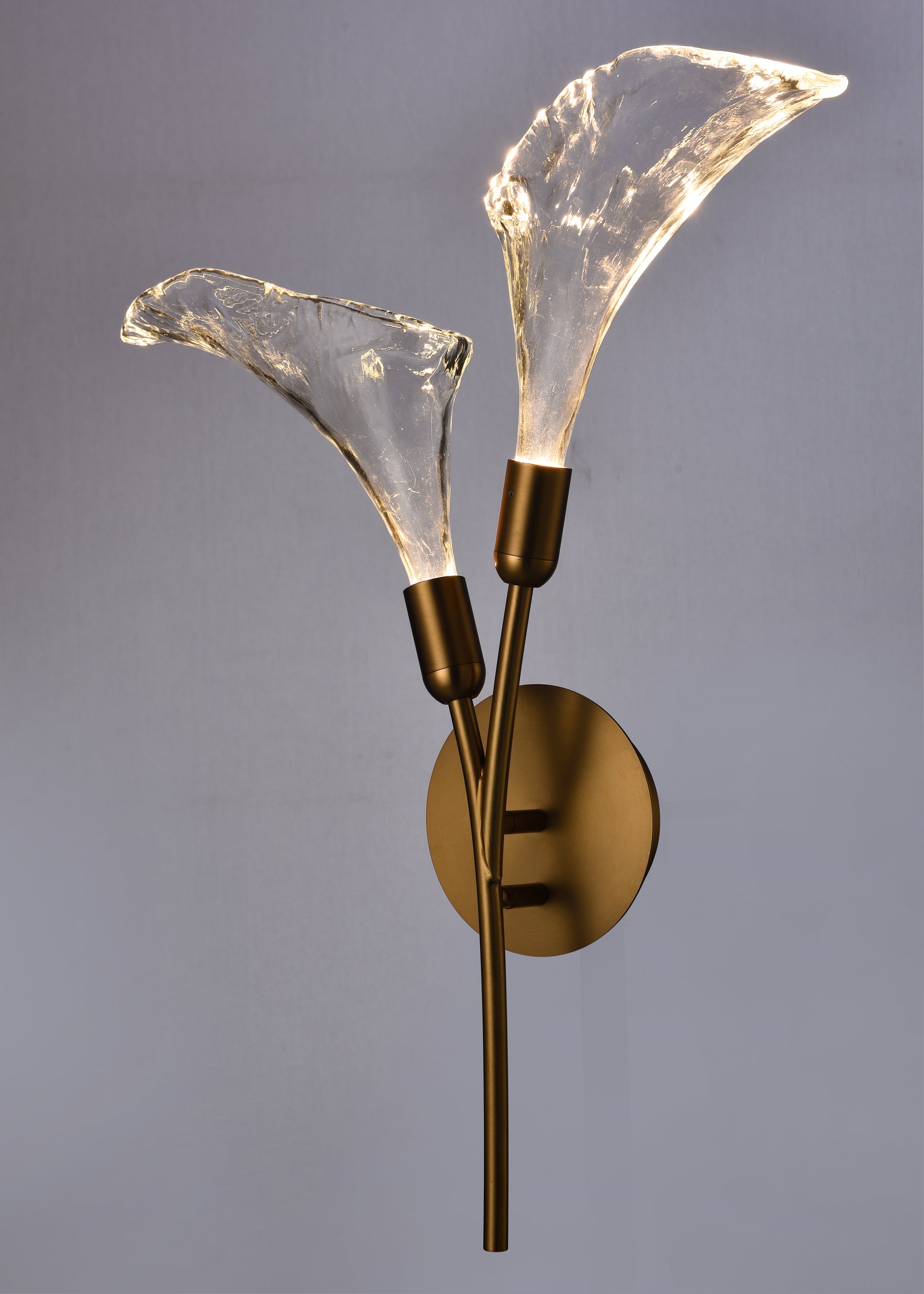 Arabela Calla satin brass wall sconce 85195-2 view 4