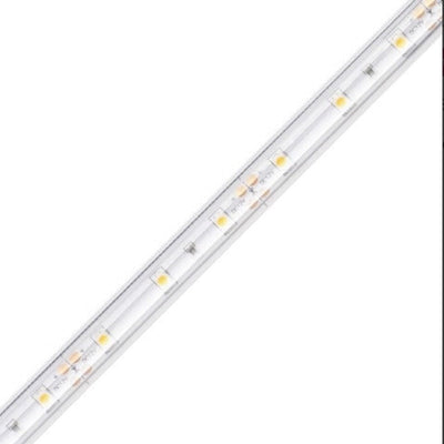 Diode LED DI-12V-BLBSC1-27-W100 LED Tape Light