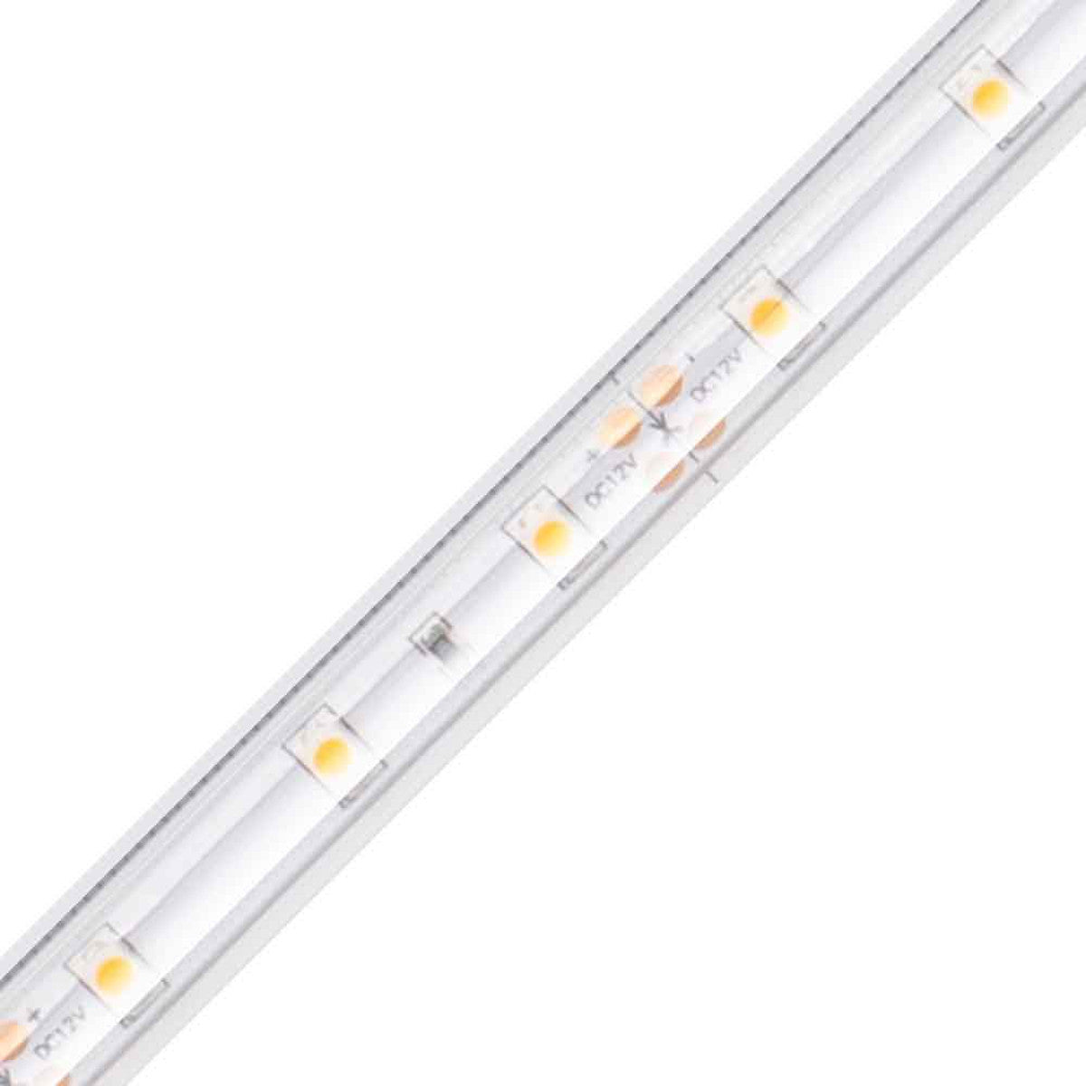 Diode LED DI-12V-BLBSC1-30-W016 LED Tape Light