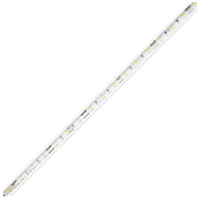 Diode LED DI-12V-BLX1-24-016 LED Tape Light