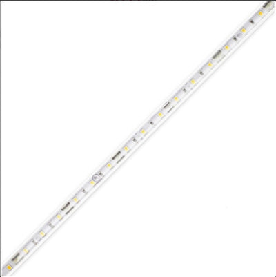 Diode LED DI-12V-BLX1-24-W100 LED Tape Light
