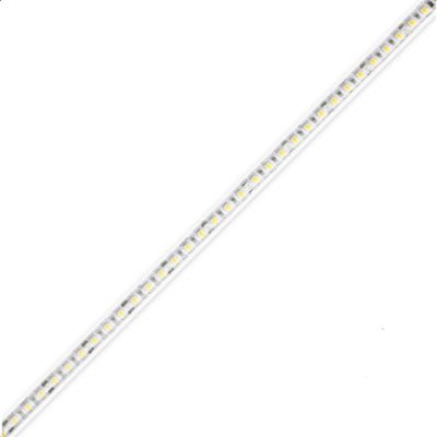 Diode LED DI-12V-BLX2-24-W016 LED Tape Light