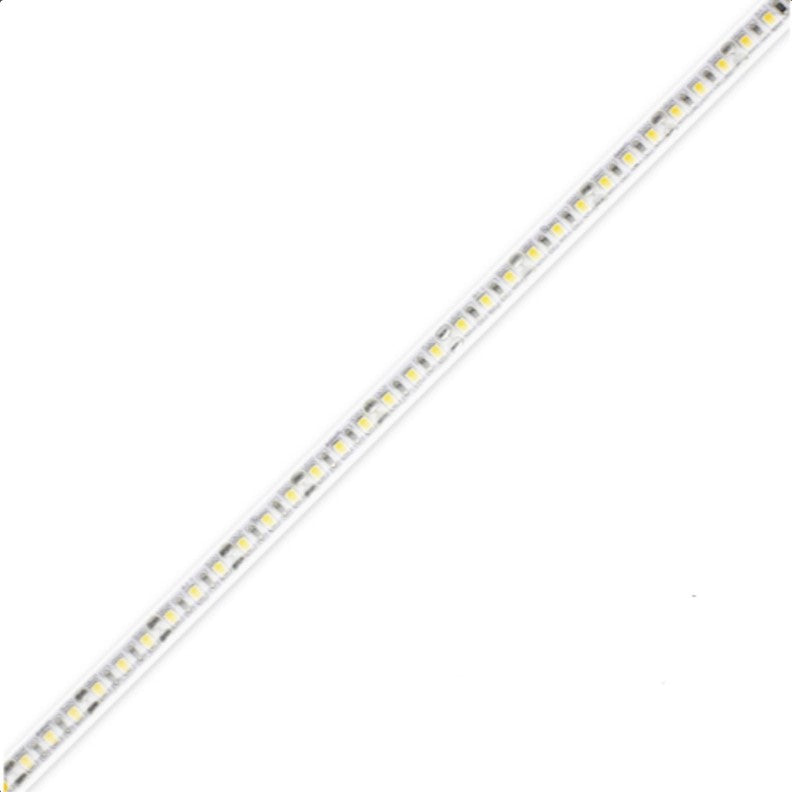 Diode LED DI-12V-BLX2-24-W100 LED Tape Light