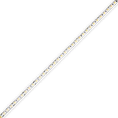 Diode LED DI-12V-BLX3-24-W100 LED Tape Light