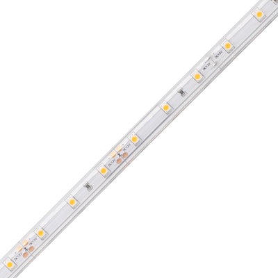 Diode LED DI-24V-BLBSC1-27-W100 LED Tape Light