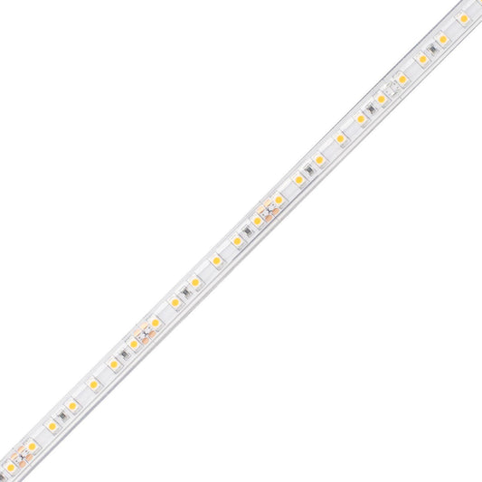 Diode LED DI-24V-BLBSC2-50-W016 LED Tape Light