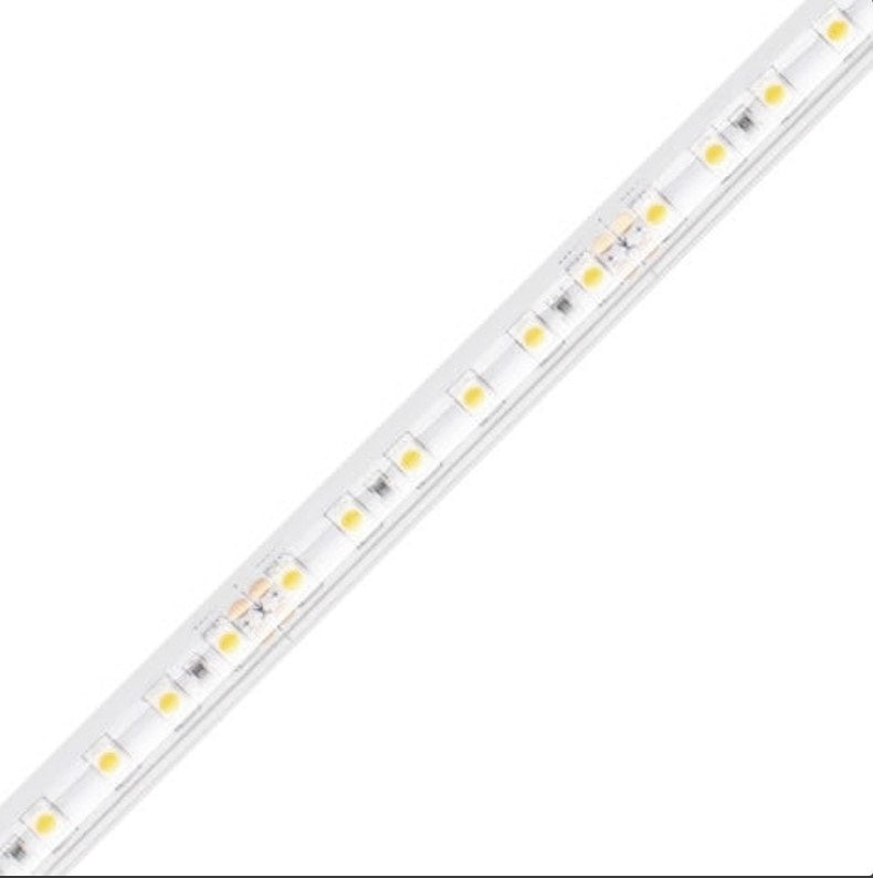 Diode LED DI-24V-BLBSC3-27-W100 LED Tape Light