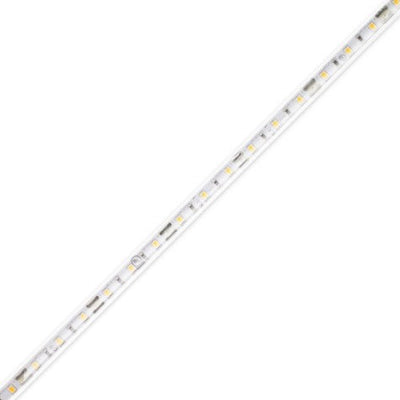 Diode LED DI-24V-BLX1-24-W100 LED Tape Light