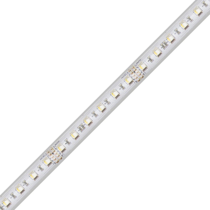 Diode LED DI-24V-RGBW4-W016 LED Tape Light