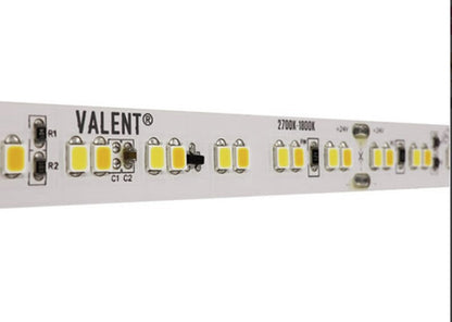Diode LED DI-24V-VL4-WD3020-100 LED Tape Light