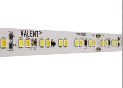 Diode LED DI-24V-VL1-WD2718-100 LED Tape Light