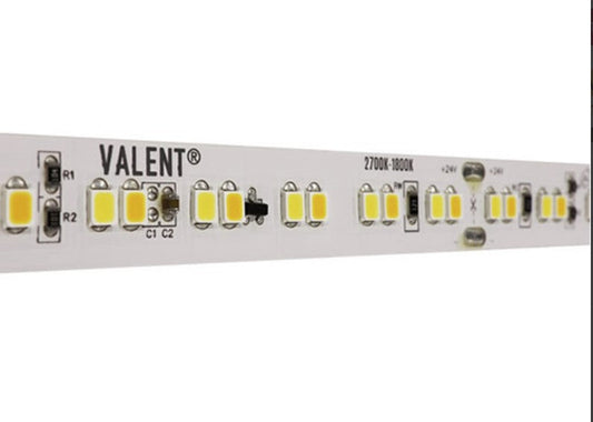 Diode LED DI-24V-VL1-WD3020-100 LED Tape Light