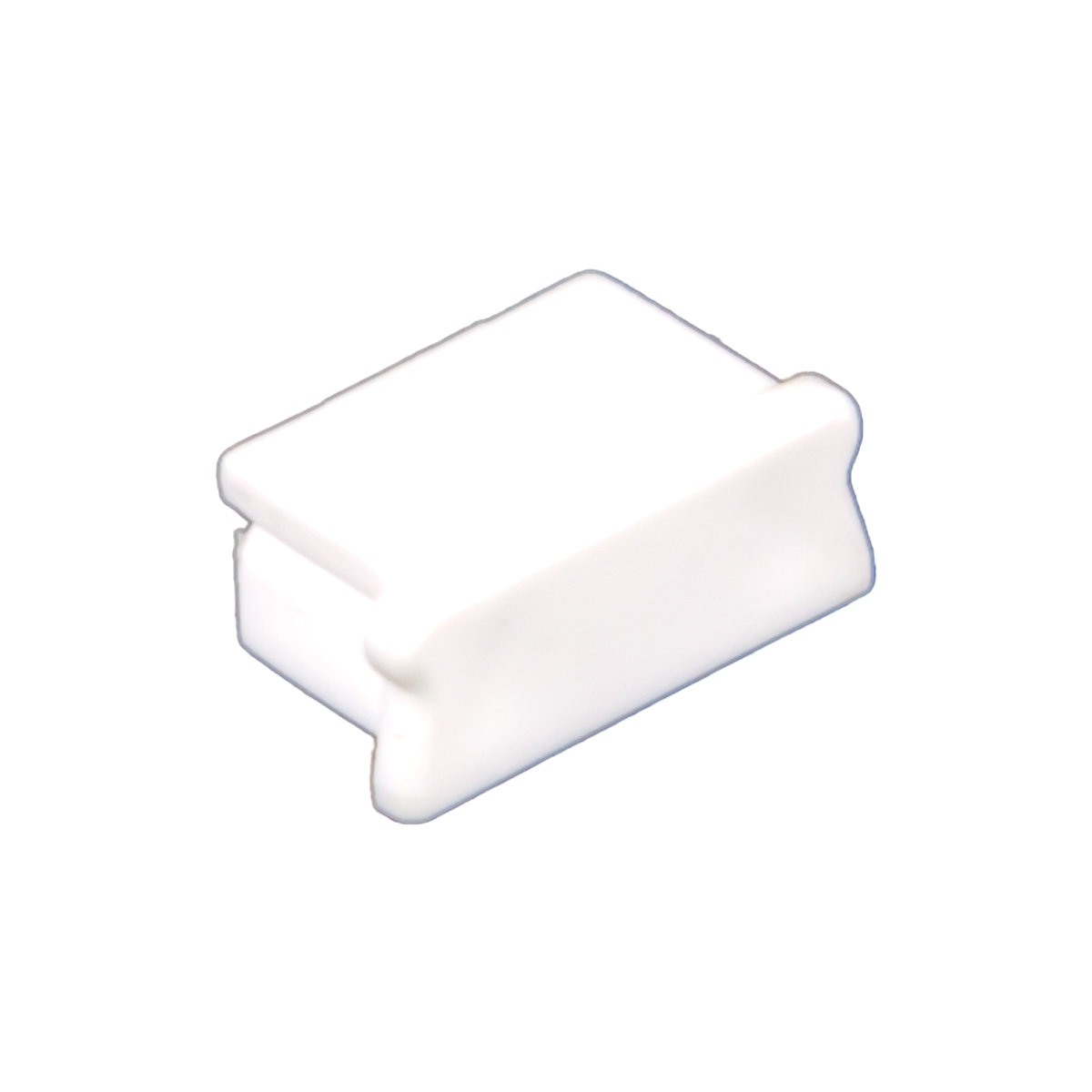 Economy End Cap - American Lighting EE1-END