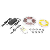 High Output Tape Light IP54 TW 5M Kit - American Lighting HTL-TW-5MKIT