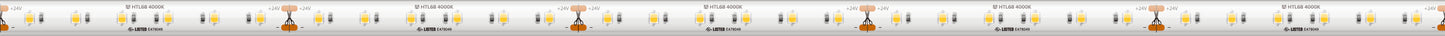 High Output Tape Light IP68 4000K 16.4Ft - American Lighting HTL68-WH