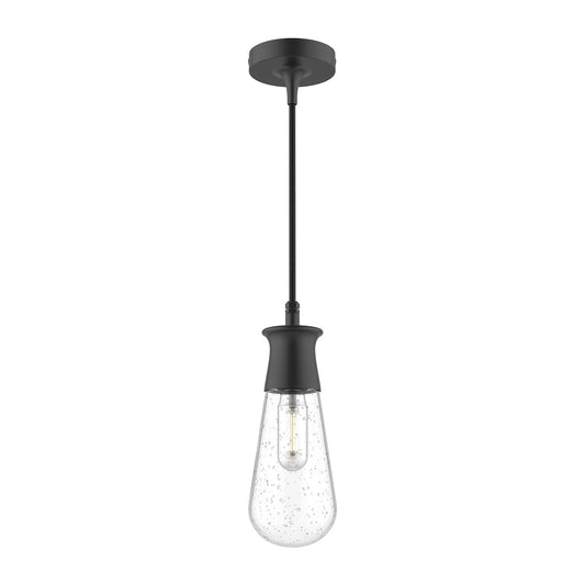 Alora Mood Marcel clear bubble glass exterior pendant EP464001BKCB
