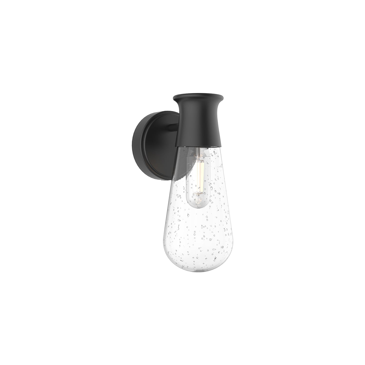Alora Mood Marcel clear bubble glass exterior wall sconce EW464001BKCB