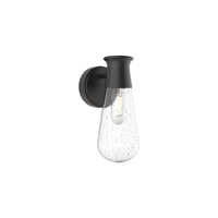 Alora Mood Marcel clear bubble glass exterior wall sconce EW464001BKCB