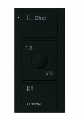 Lutron Pico wireless remote in Black