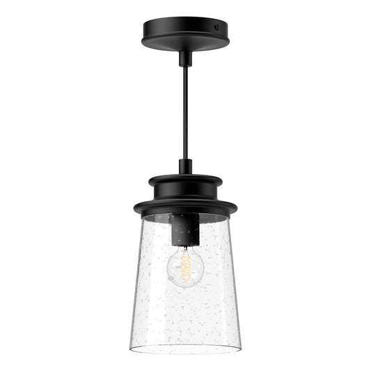 Alora Mood Quincy clear bubble glass exterior pendant EP533006BKCB