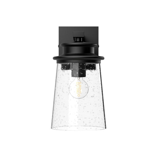 Alora Mood Quincy clear bubble glass exterior wall sconce EW533006BKCB