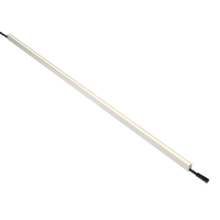 Rein 4ft Low-voltage Wall Grazer, 3000K, 30° Beam - American Lighting REIN-30K-30-4FT