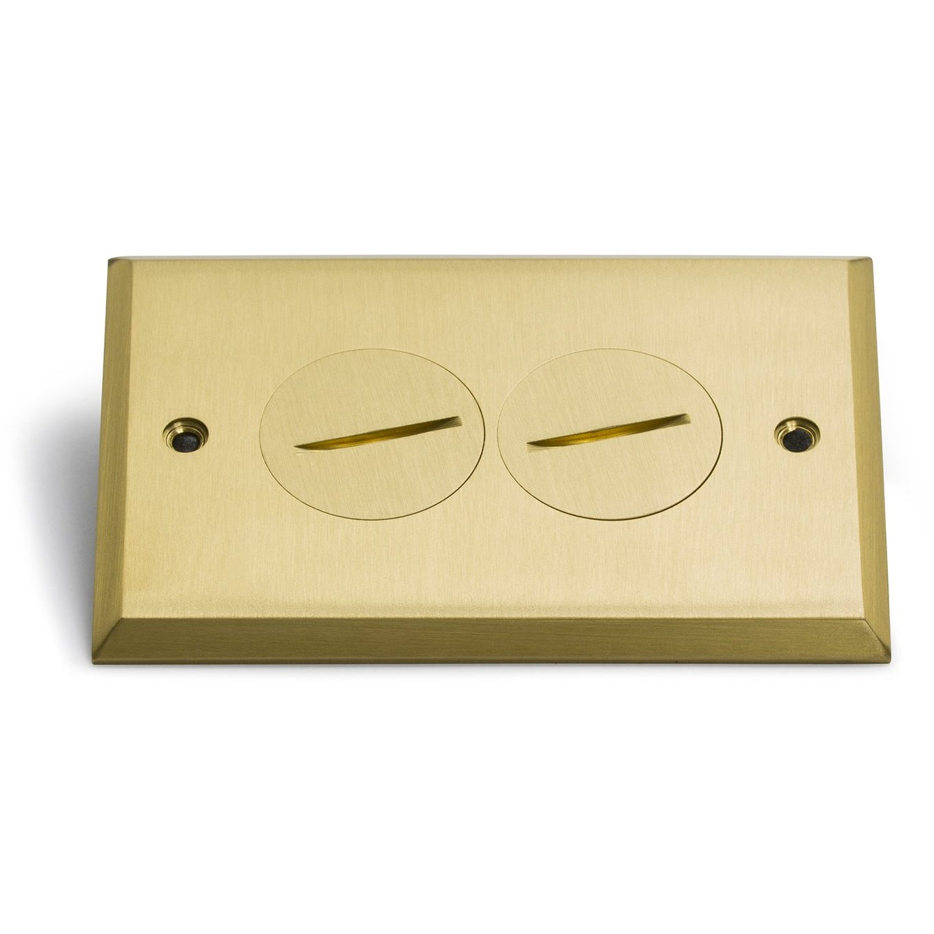 Lew Electric RRP-2-SPB Brass floor box cover