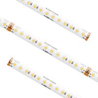 Specification Grade Tape Light IP54 TW 13.1Ft - American Lighting SPTL-TW