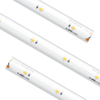 Standard Tape Light IP65 3000K 16.4Ft - American Lighting STL65-WW