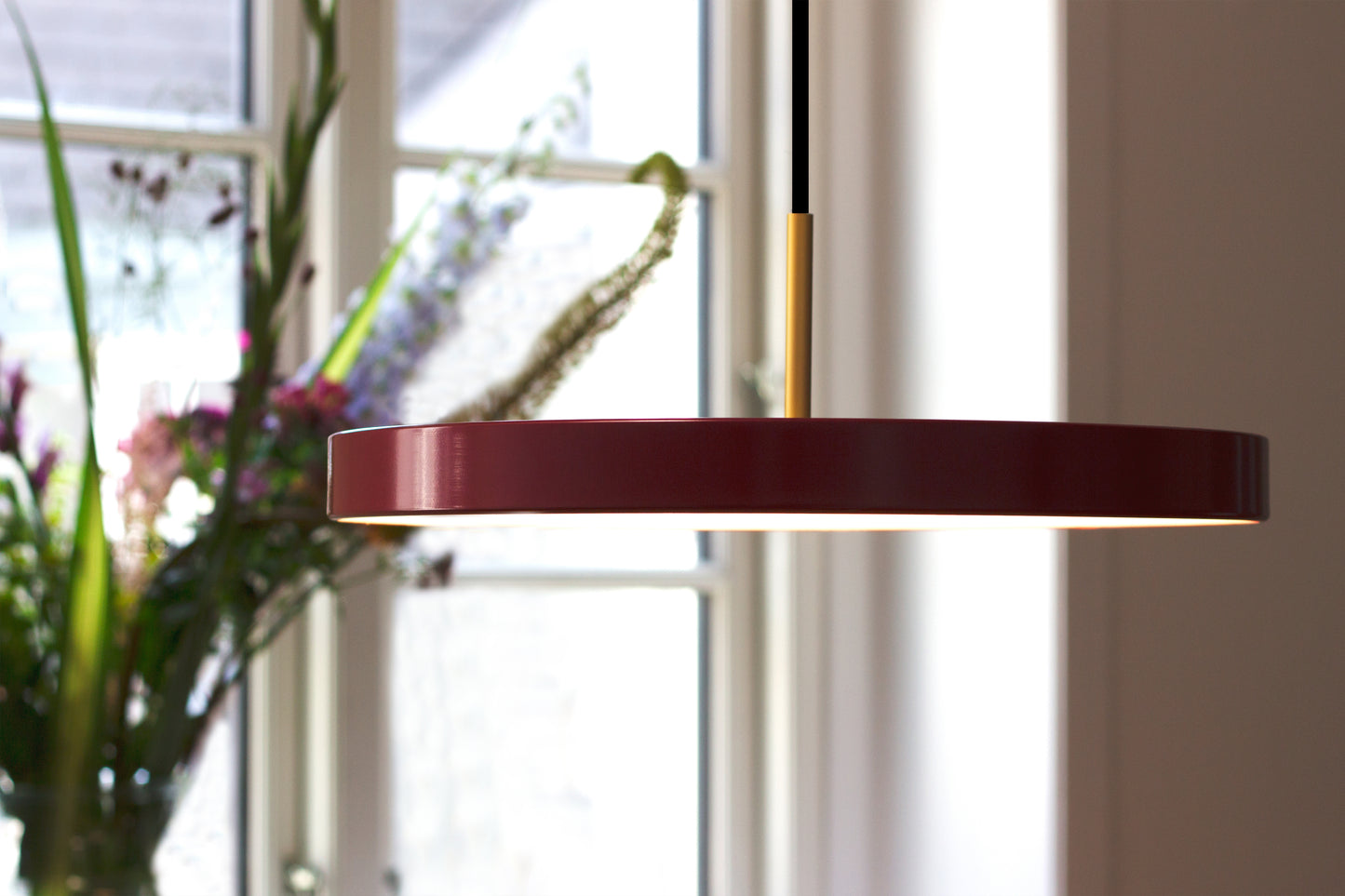 UMAGE Asteria LED Pendant in Ruby Red with Brass Connector — styled interior view 5