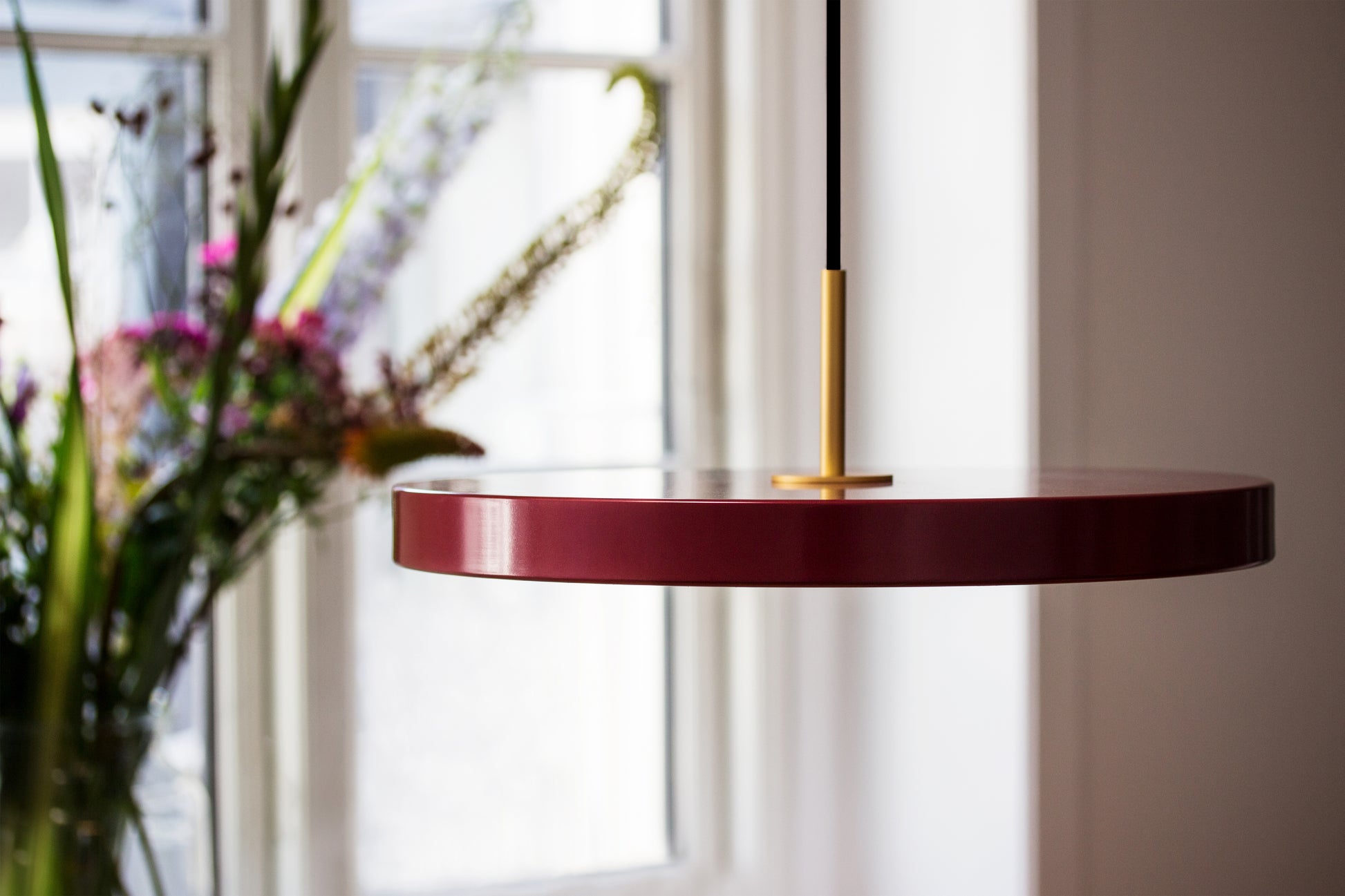 UMAGE Asteria LED Pendant in Ruby Red with Brass Connector — styled interior view 6