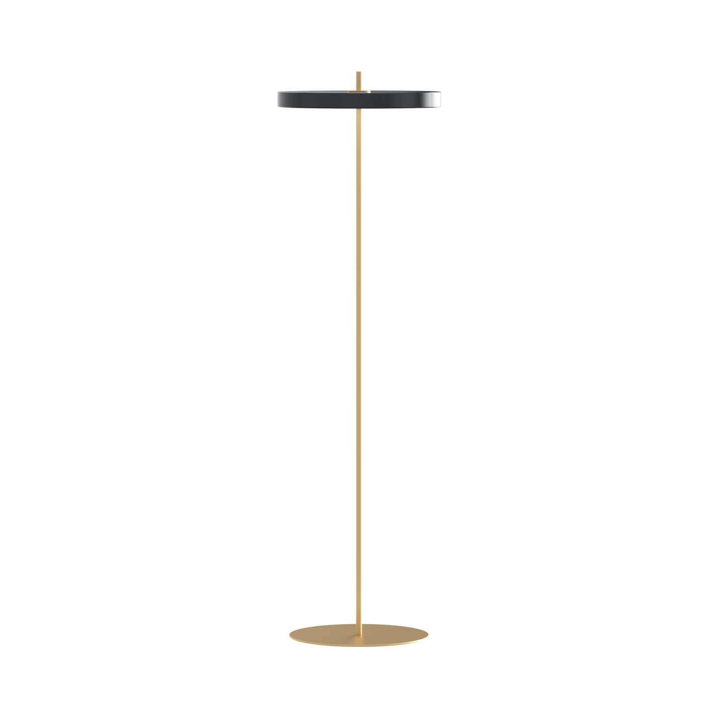 UMAGE Asteria LED Floor Lamp in Anthracite Grey
