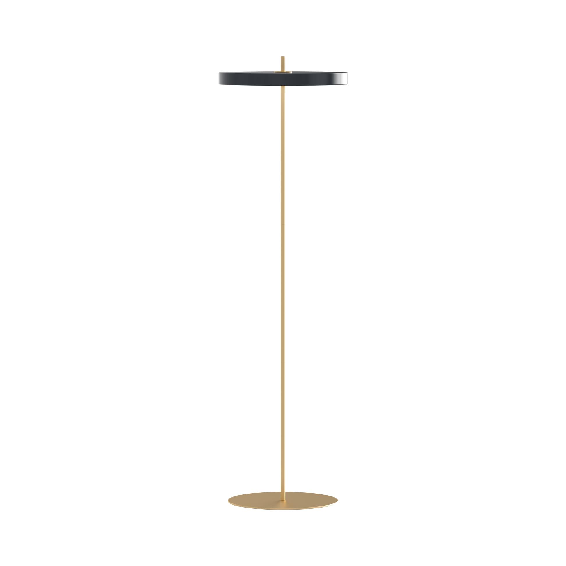 UMAGE Asteria LED Floor Lamp in Anthracite Grey