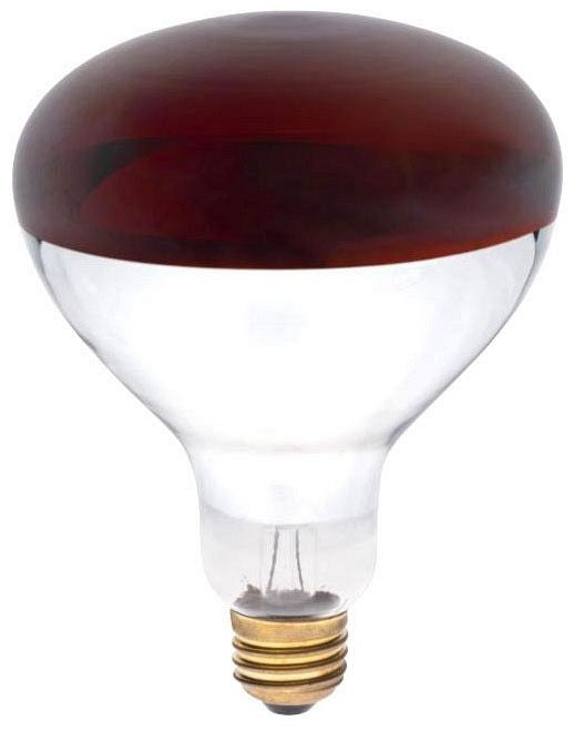 Westinghouse R40 heat lamp