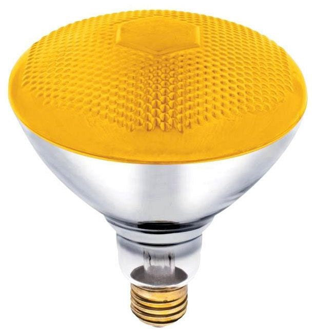Westinghouse BR38 incandescent bulb