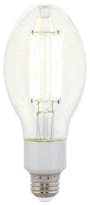 Westinghouse ED23.5 LED filament bulb