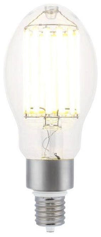Westinghouse ED37 LED filament bulb